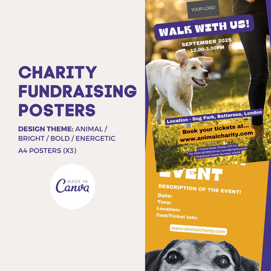 Charity Fundraising Posters