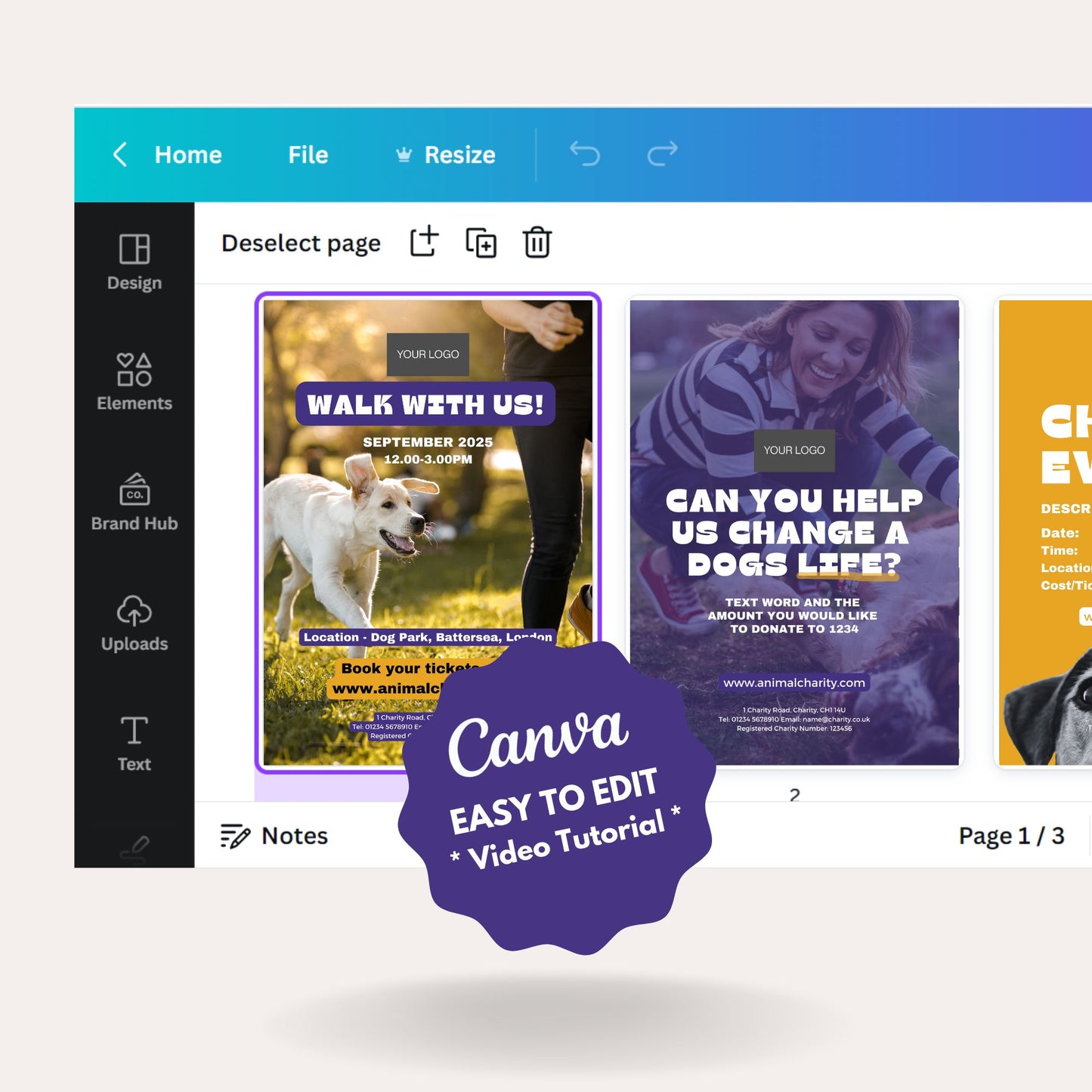 Canva Templates - Charity Posters